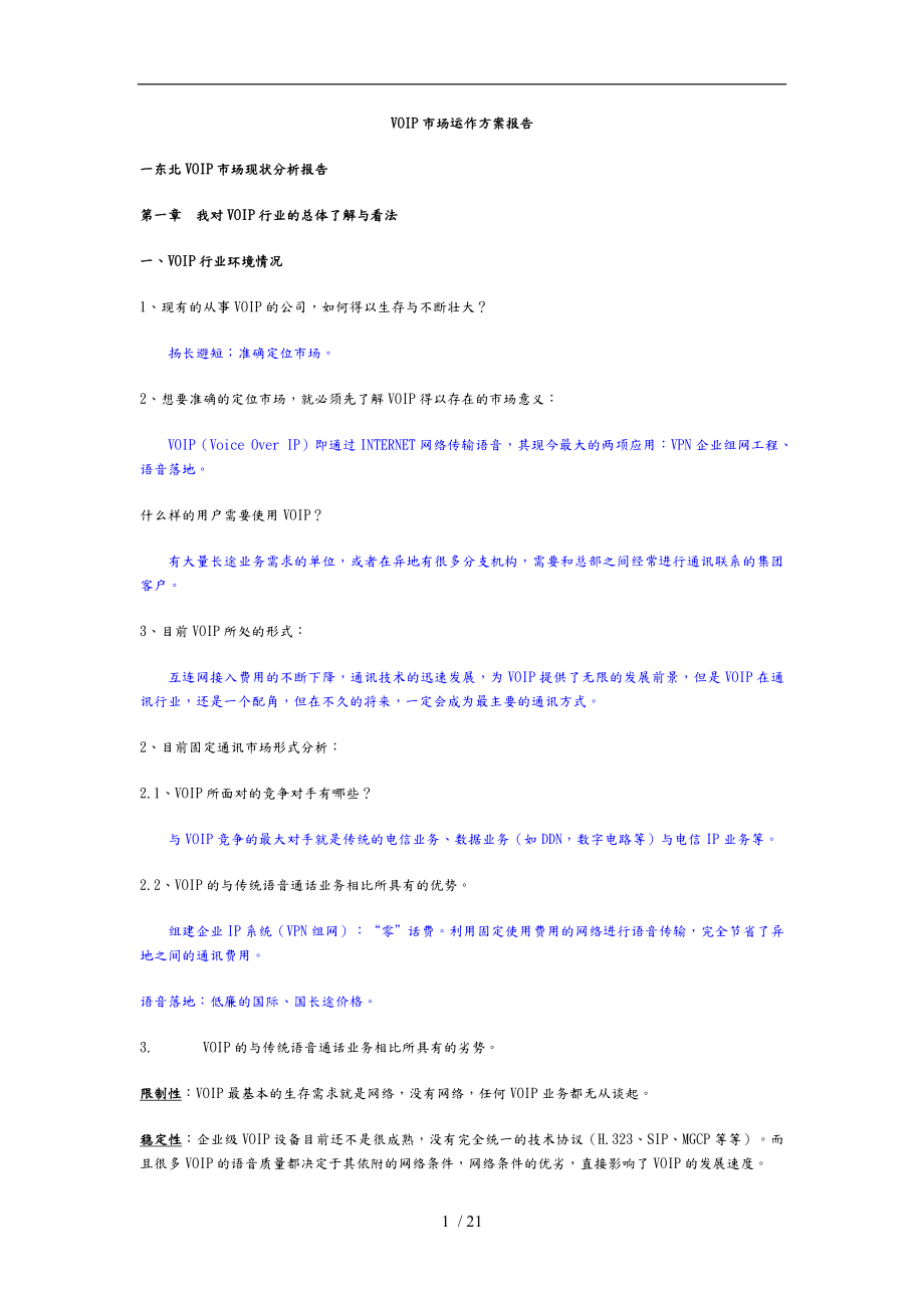 VOIP市场运作方案报告_第1页