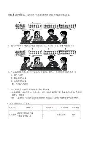 初中生物人教版八年級下冊 第三節(jié)生物進化的原因.docx