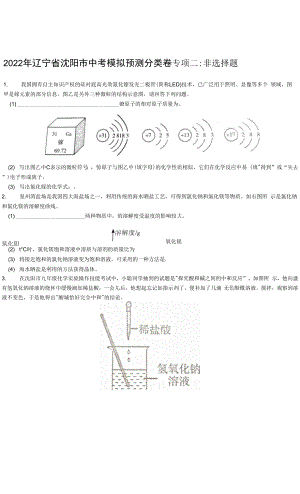 2022年遼寧省沈陽市中考模擬預(yù)測(cè)分類卷專項(xiàng)二 非選擇題.docx