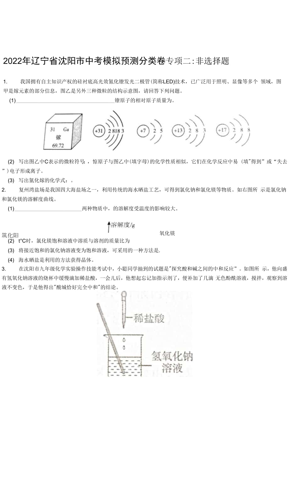 2022年遼寧省沈陽市中考模擬預(yù)測分類卷專項二 非選擇題.docx_第1頁