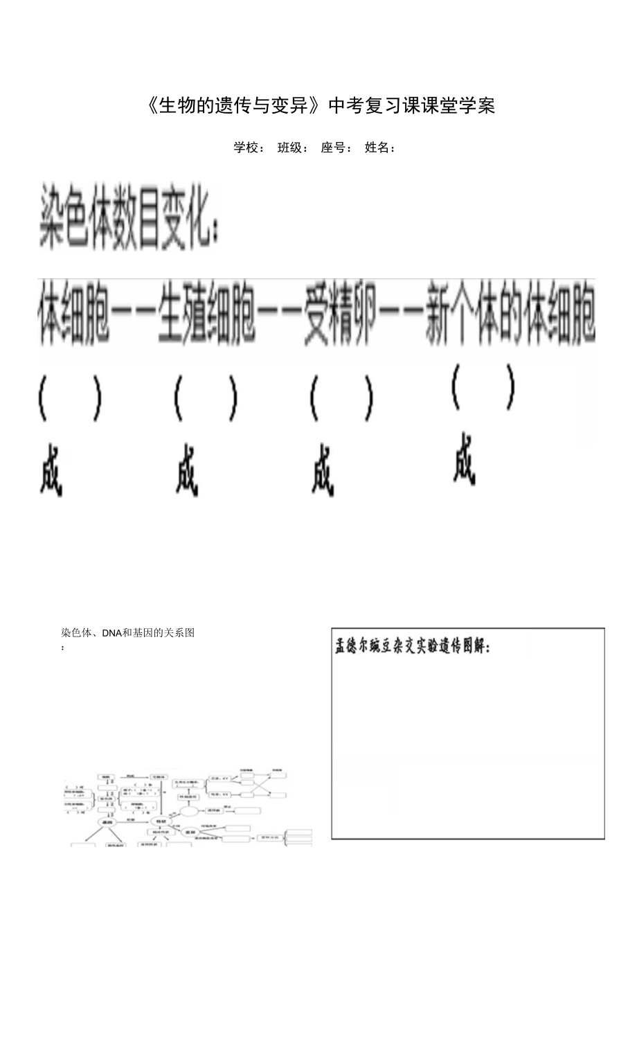 初中生物人教版八年級下冊 第二章生物的遺傳和變異.docx_第1頁