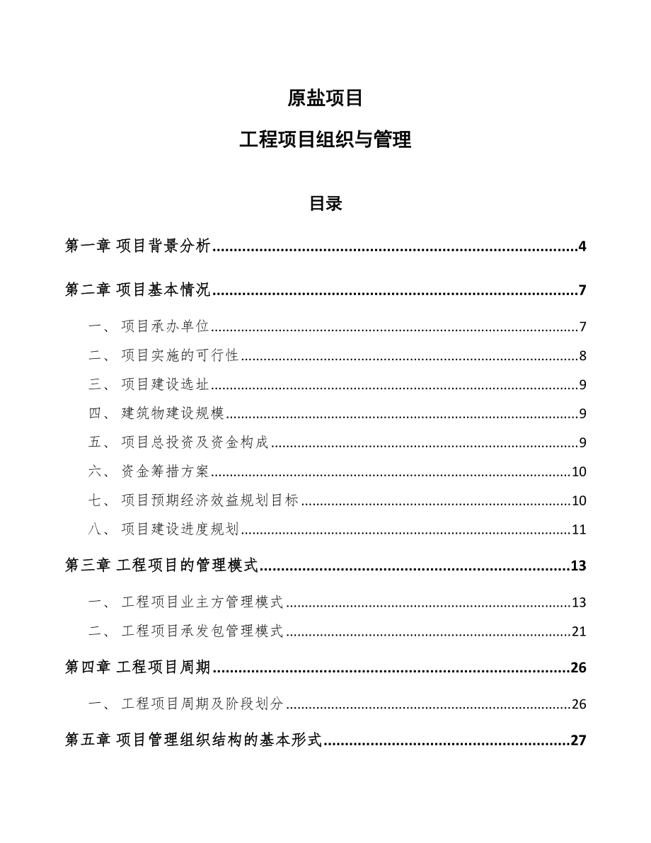 原盐项目工程项目组织与管理_第1页