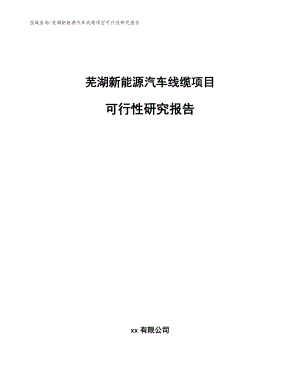 芜湖新能源汽车线缆项目可行性研究报告（范文参考）