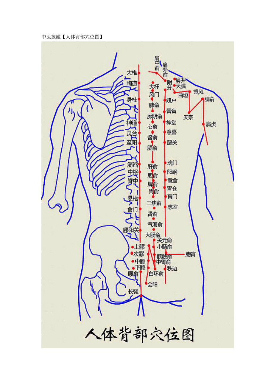人体后背经络图表高清图片