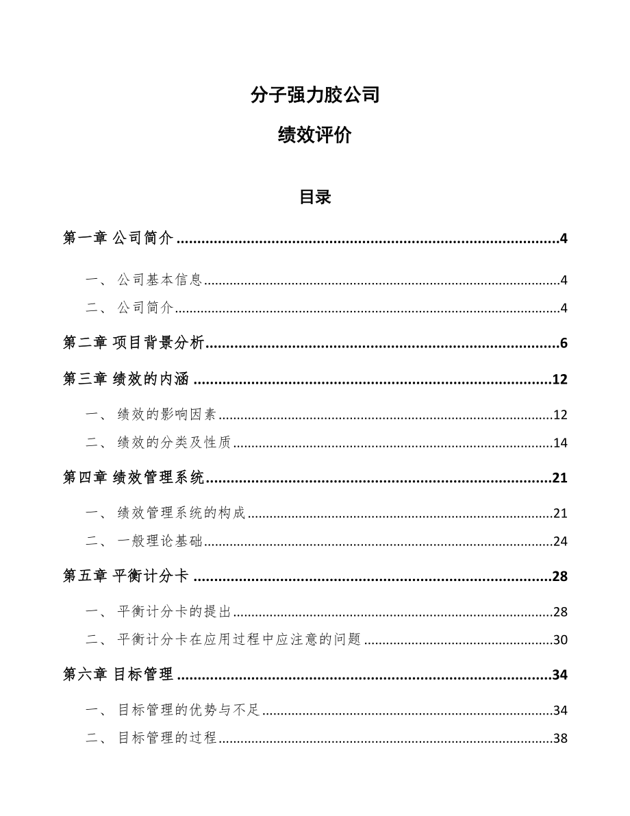 分子强力胶公司绩效评价（模板）_第1页