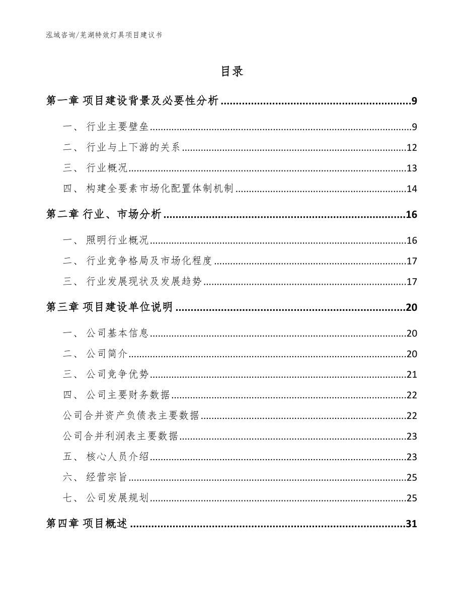 芜湖特效灯具项目建议书【模板参考】_第1页