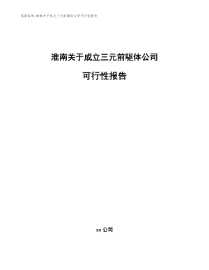 淮南关于成立三元前驱体公司可行性报告（参考范文）