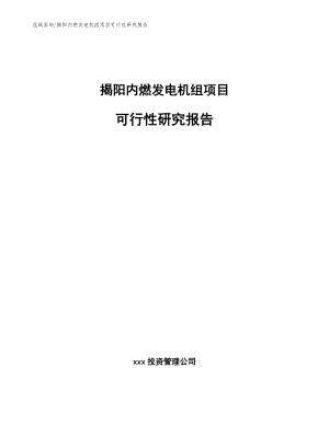 揭阳内燃发电机组项目可行性研究报告【参考范文】