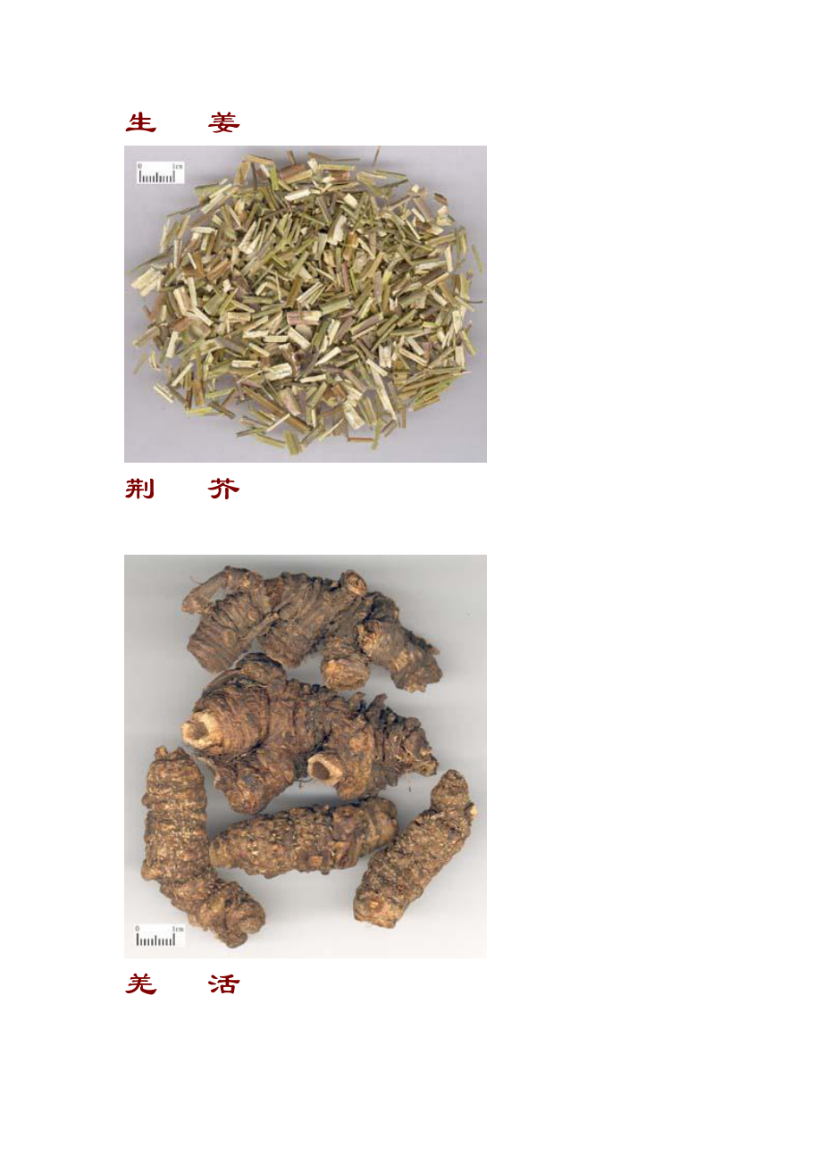 216种常用中药饮片彩色图谱