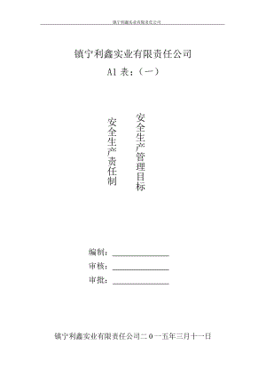 A表--安全生產(chǎn)責(zé)任制度