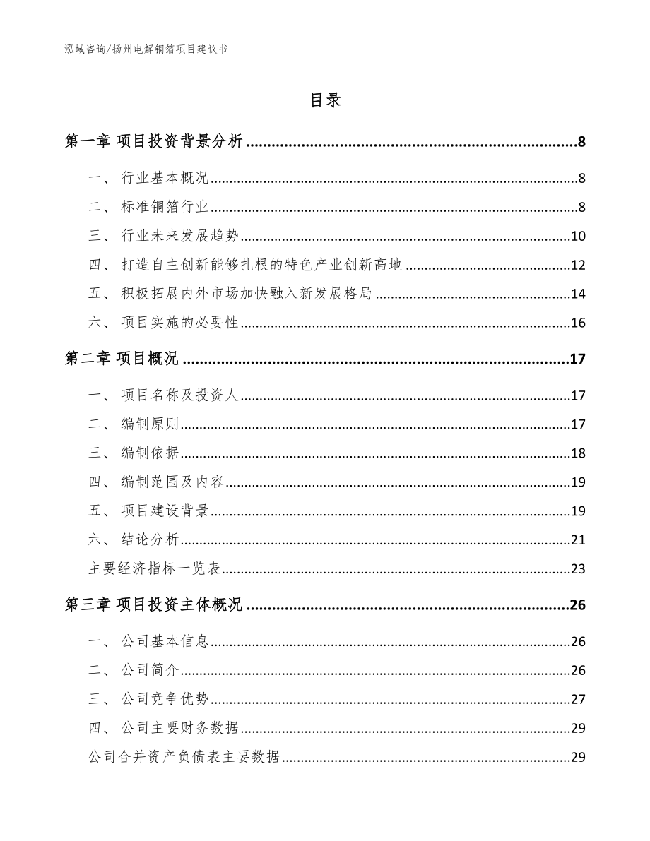 扬州电解铜箔项目建议书_模板参考_第1页