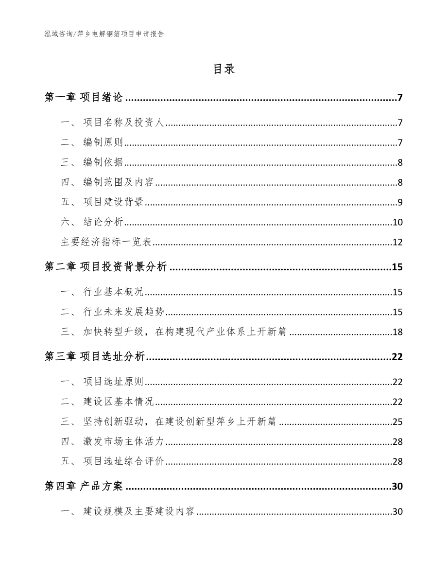 萍乡电解铜箔项目申请报告_模板范本_第1页