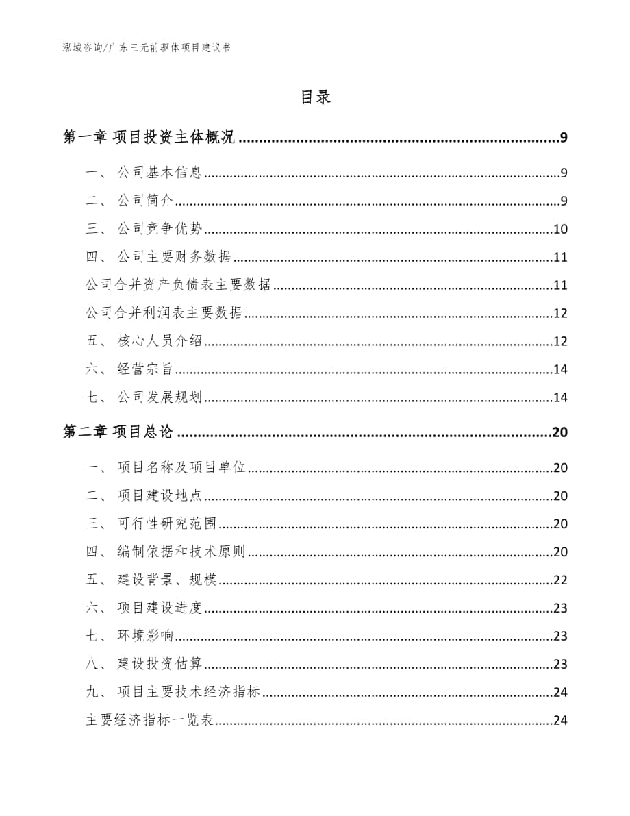 广东三元前驱体项目建议书_范文_第1页