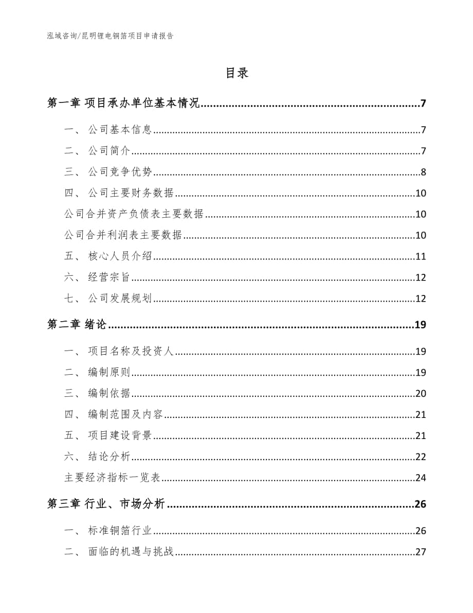 昆明锂电铜箔项目申请报告【模板】_第1页