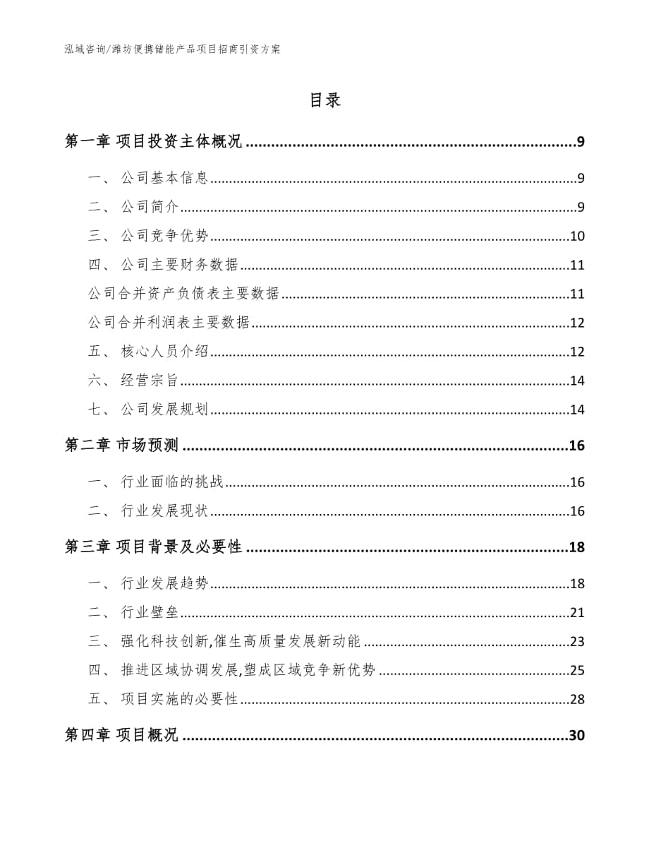 潍坊便携储能产品项目招商引资方案（参考范文）_第1页