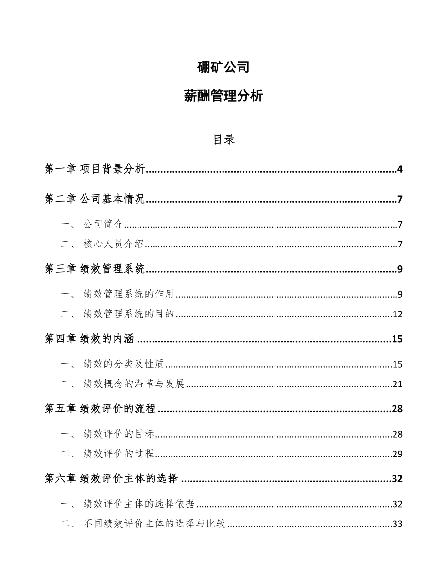 硼矿公司薪酬管理分析模板_第1页