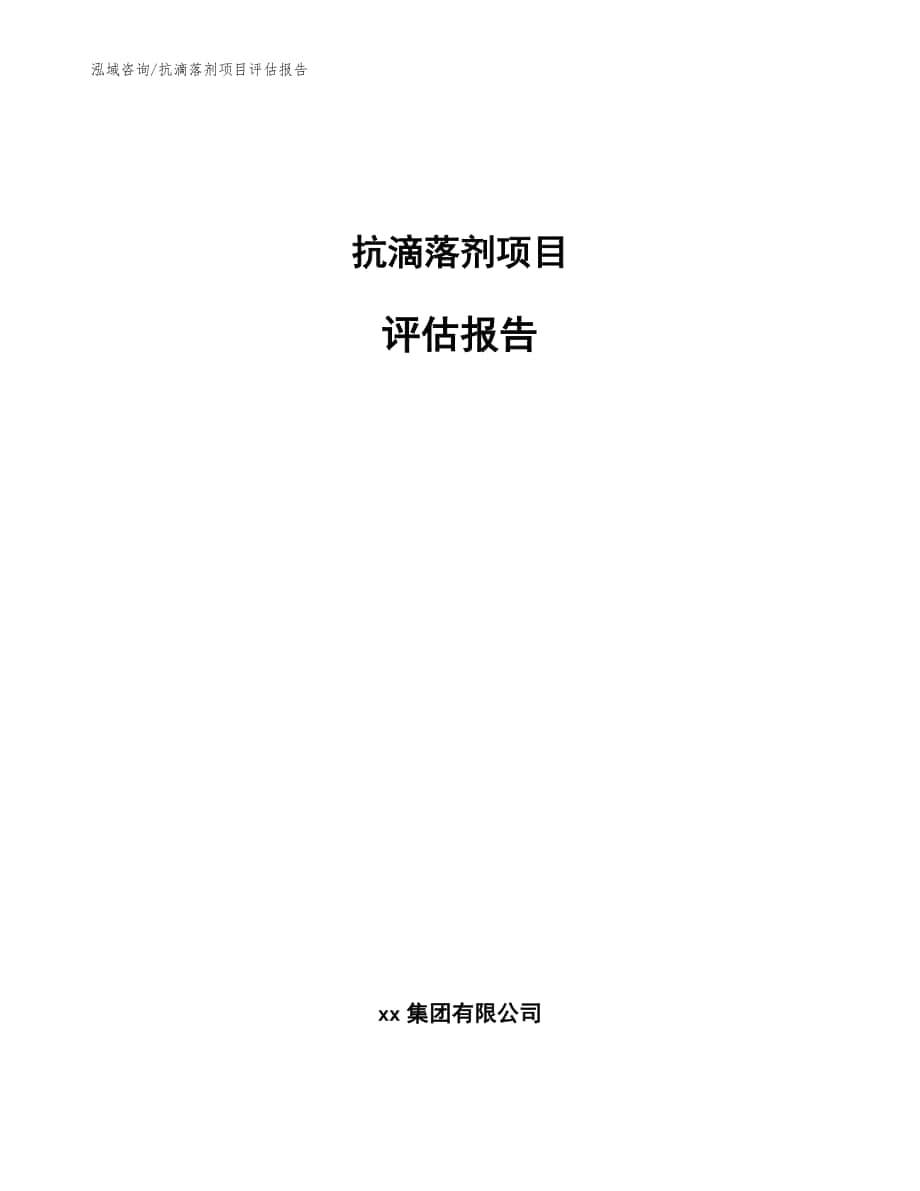 抗滴落剂项目评估报告_参考模板_第1页