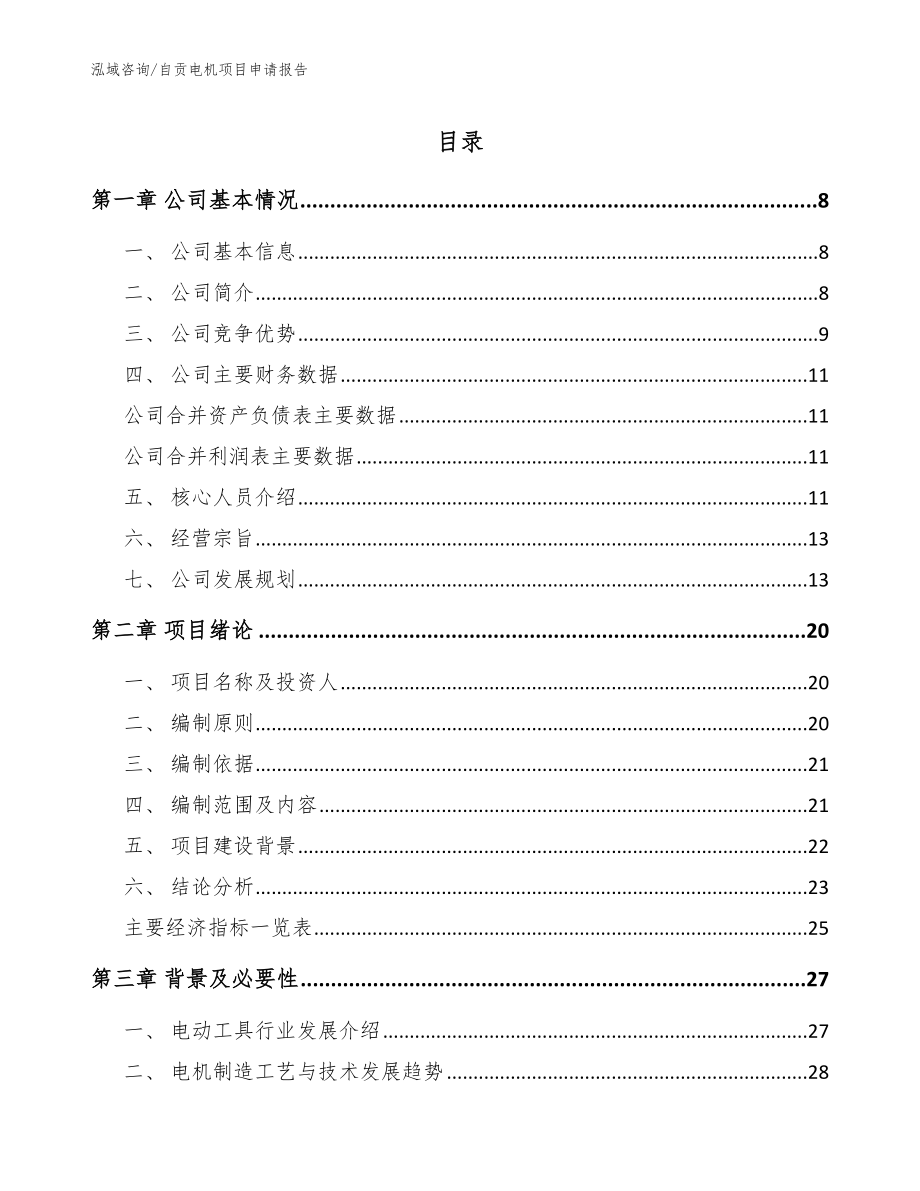 自贡电机项目申请报告【范文模板】_第1页