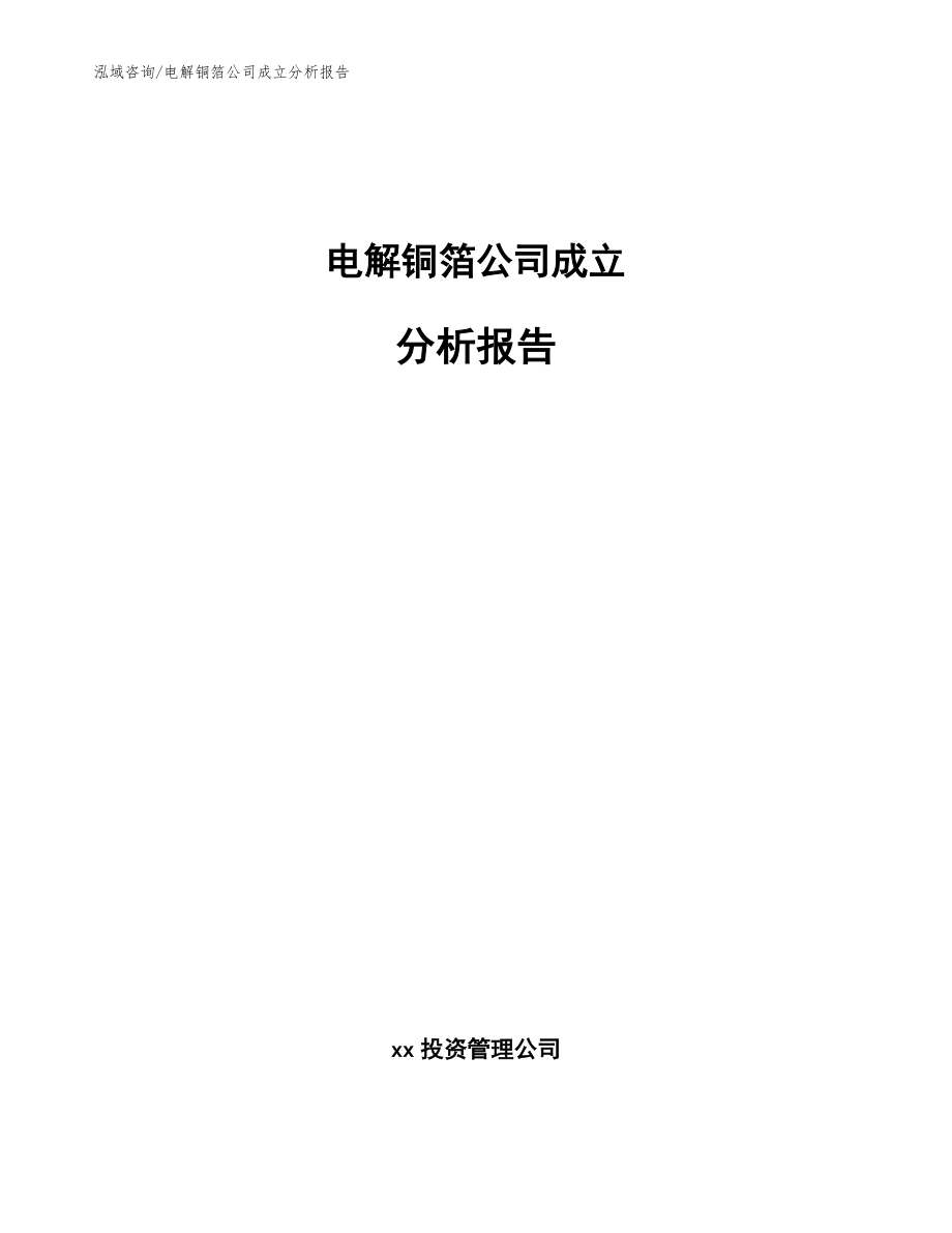 电解铜箔公司成立分析报告_参考范文_第1页