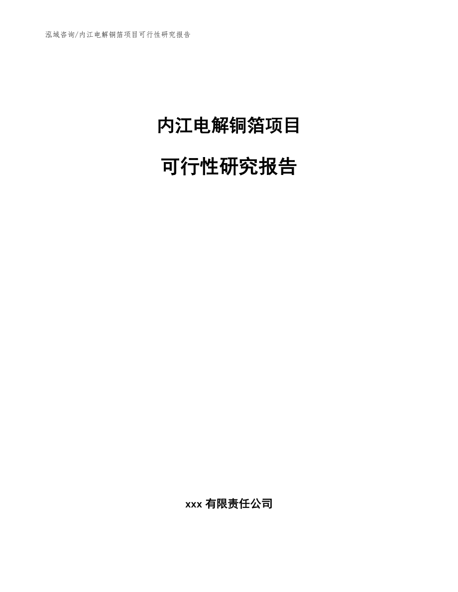 内江电解铜箔项目可行性研究报告（模板）_第1页