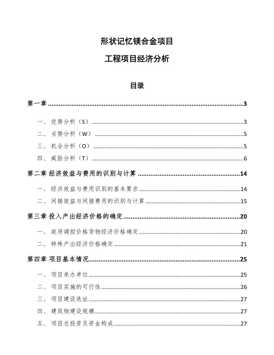 形状记忆镁合金项目工程项目经济分析模板_第1页