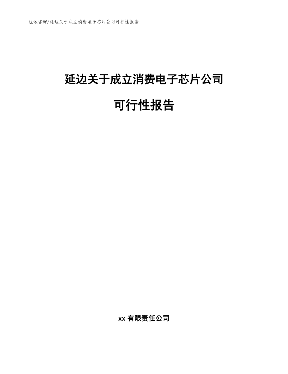 延边关于成立消费电子芯片公司可行性报告（范文）_第1页