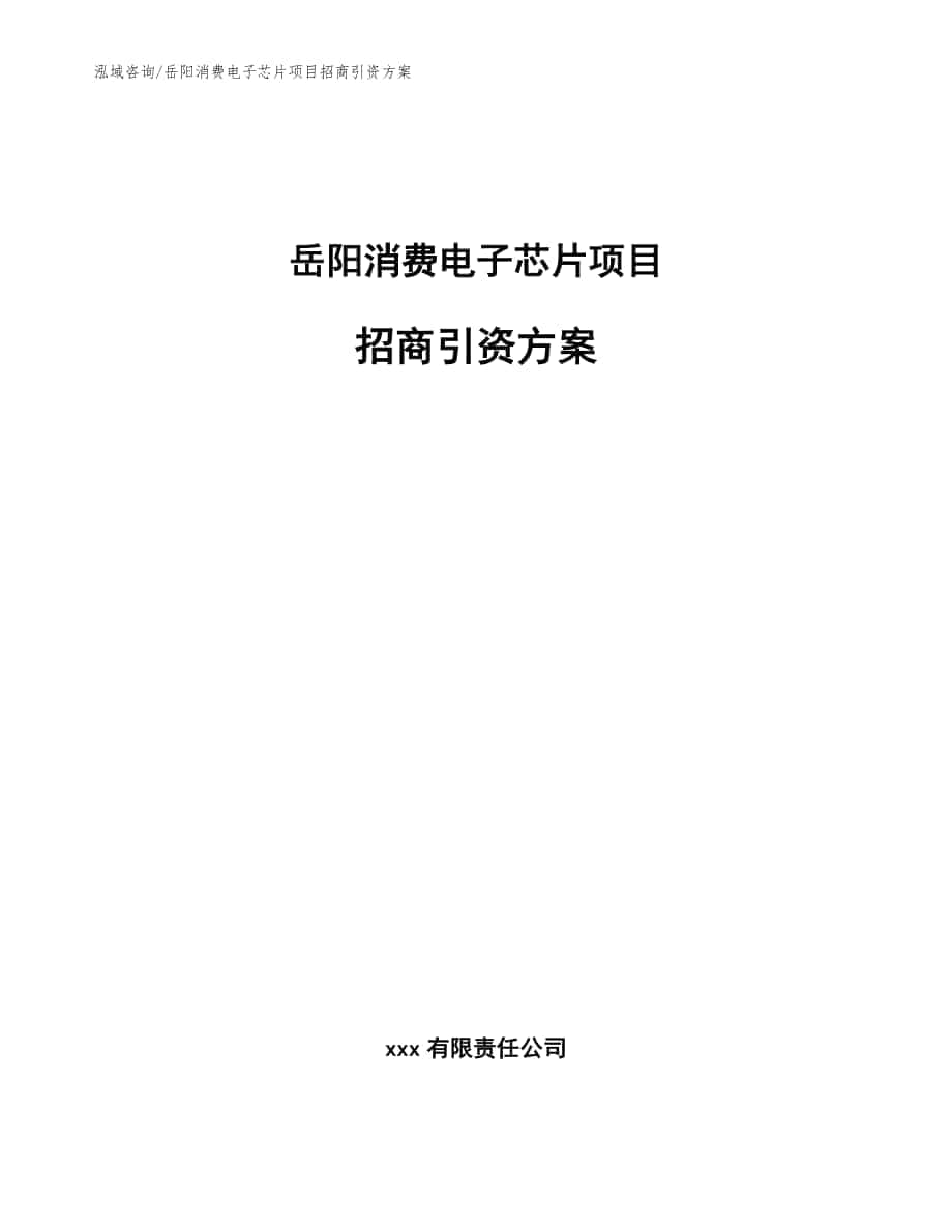 岳阳消费电子芯片项目招商引资方案【范文模板】_第1页