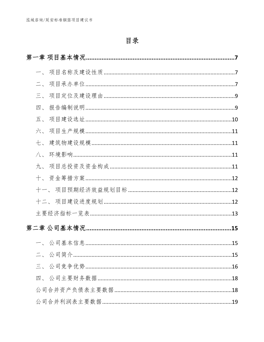 延安标准铜箔项目建议书【参考范文】_第1页