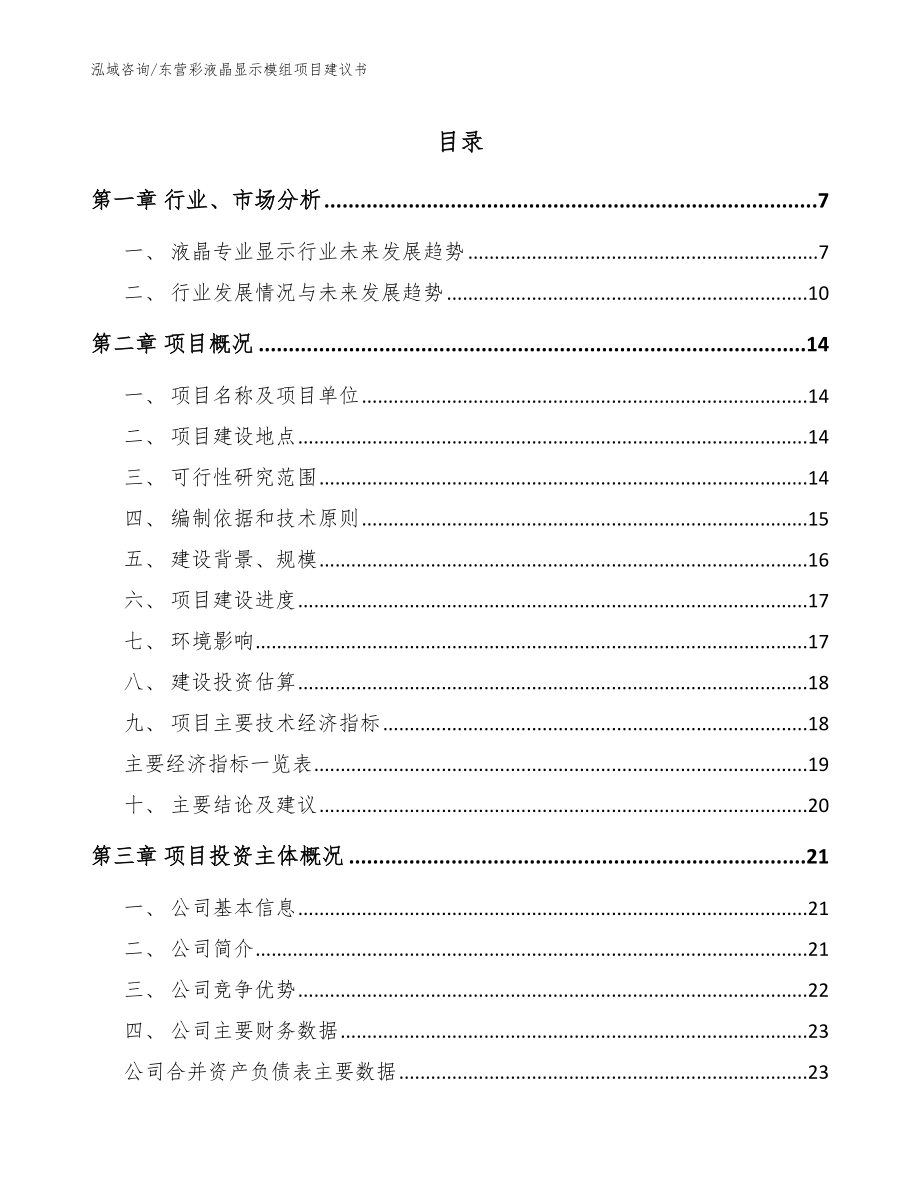 东营彩液晶显示模组项目建议书【范文】_第1页