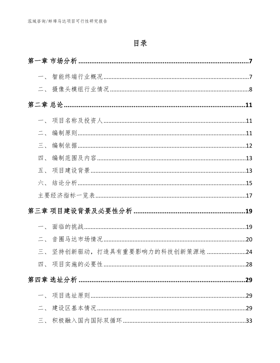 蚌埠马达项目可行性研究报告【范文模板】_第1页