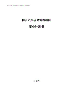 阳江汽车流体管路项目商业计划书【模板范文】