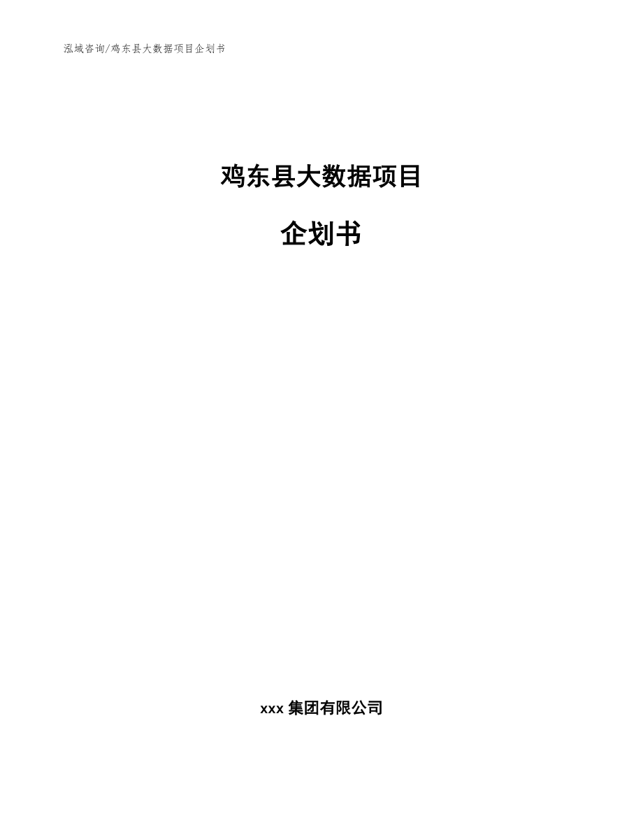 鸡东县大数据项目企划书模板范文_第1页
