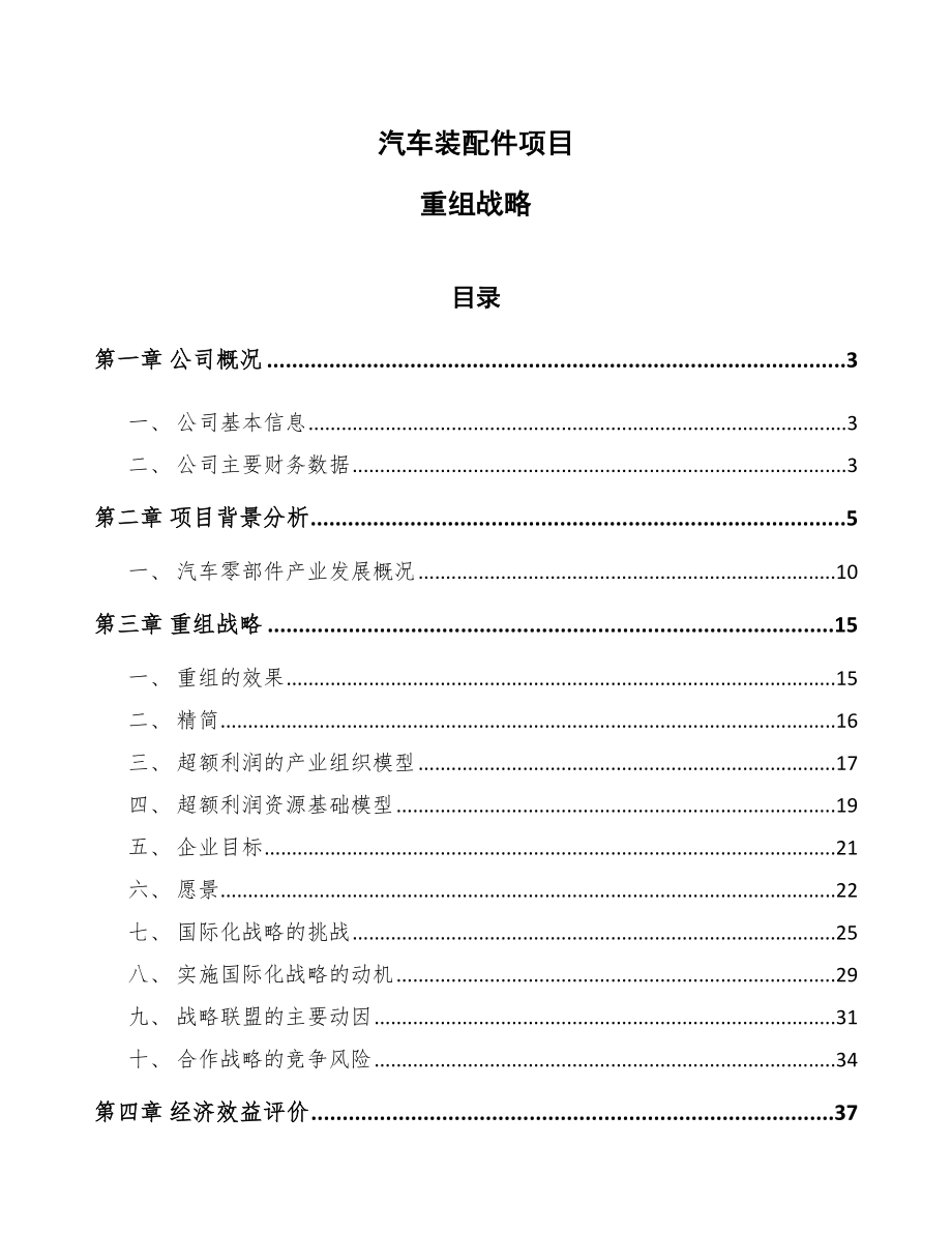 汽车装配件项目重组战略_第1页