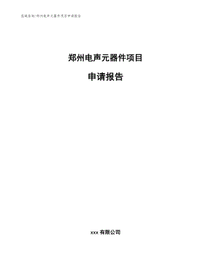 郑州电声元器件项目申请报告（范文）
