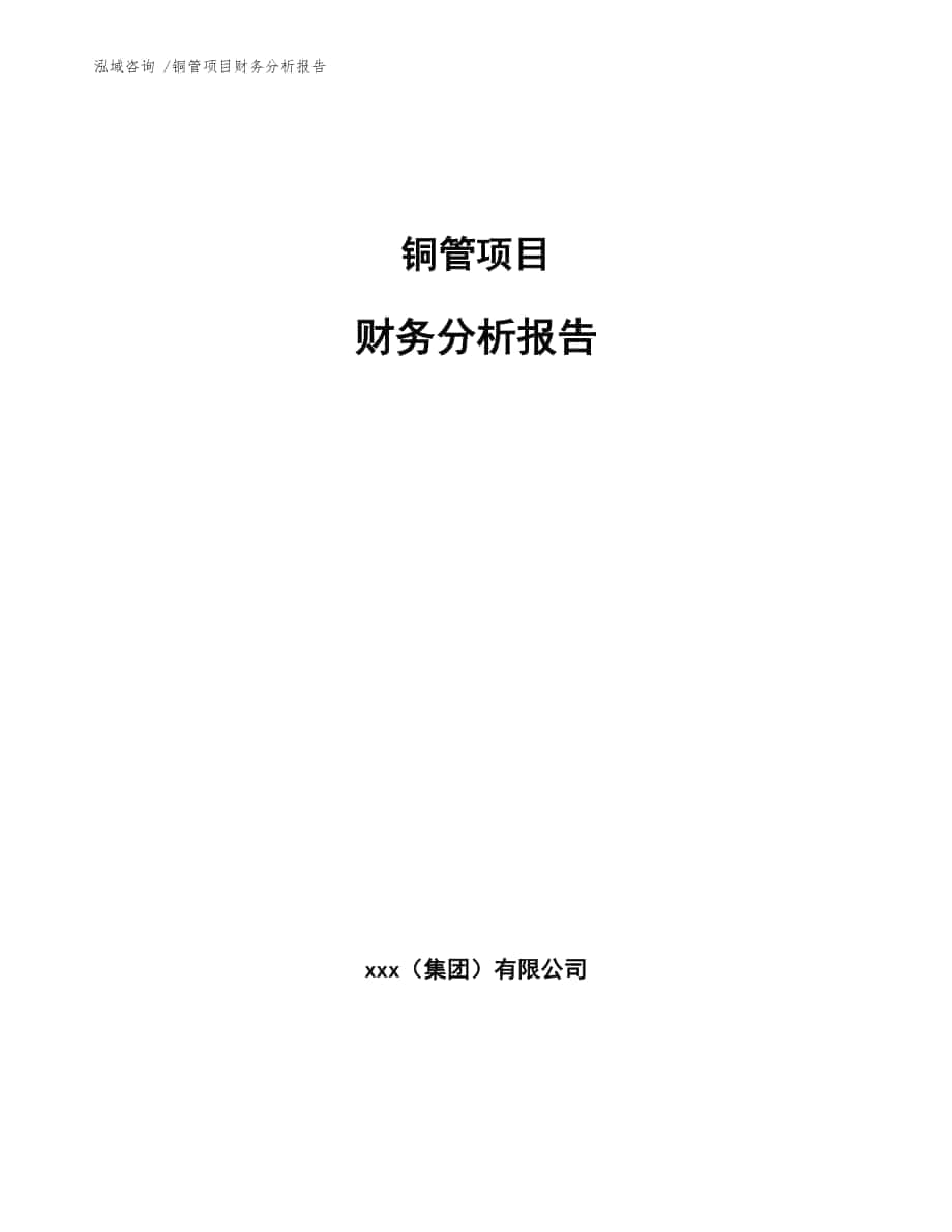 铜管项目财务分析报告（范文参考）_第1页