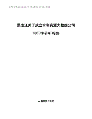 黑龍江關(guān)于成立水利資源大數(shù)據(jù)公司可行性分析報告_模板范文