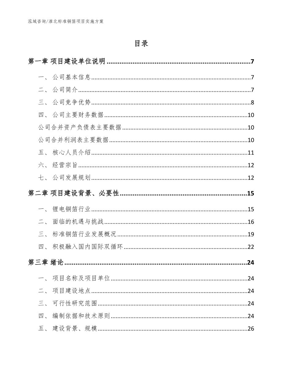 淮北标准铜箔项目实施方案（模板参考）_第1页