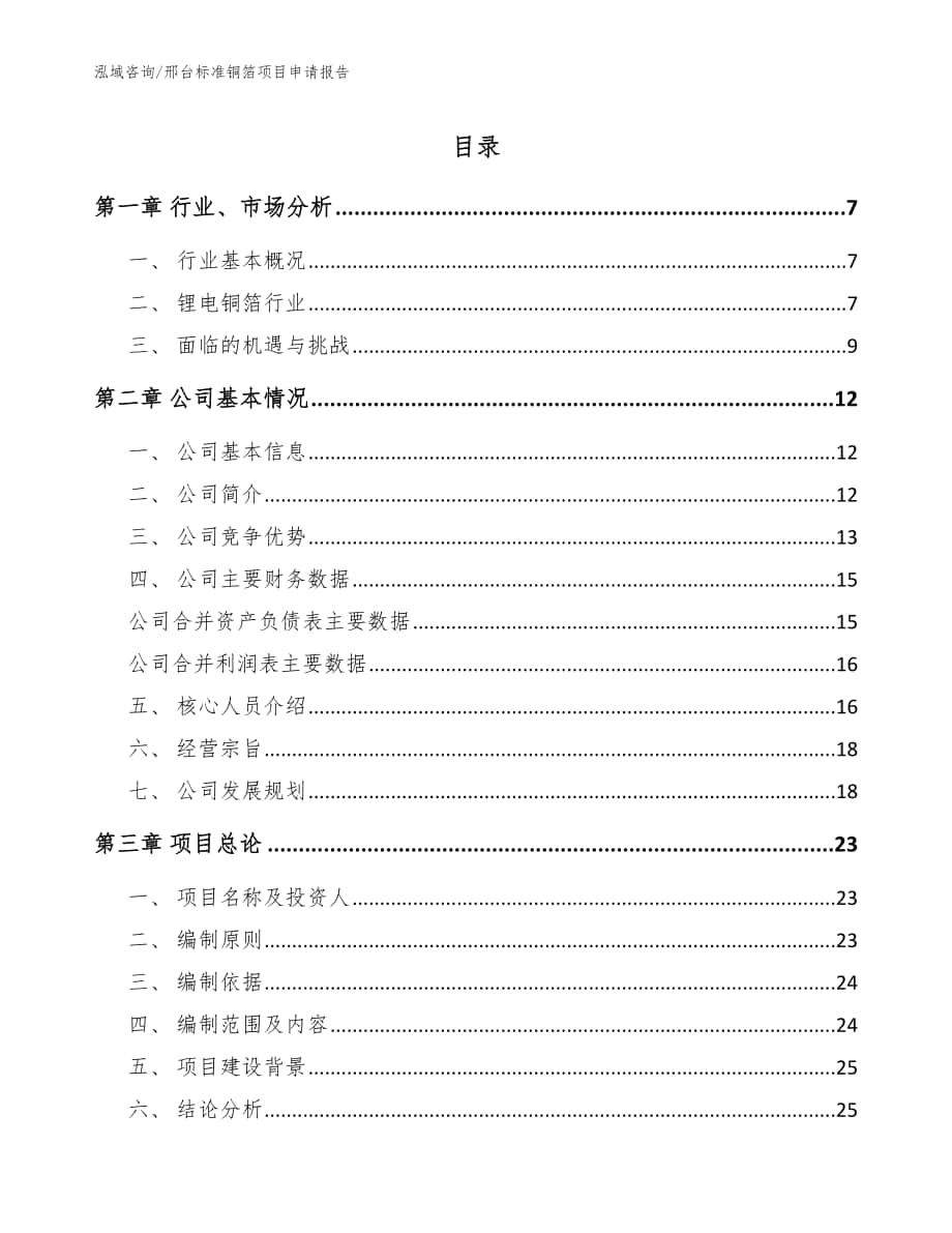 邢台标准铜箔项目申请报告【模板】_第1页