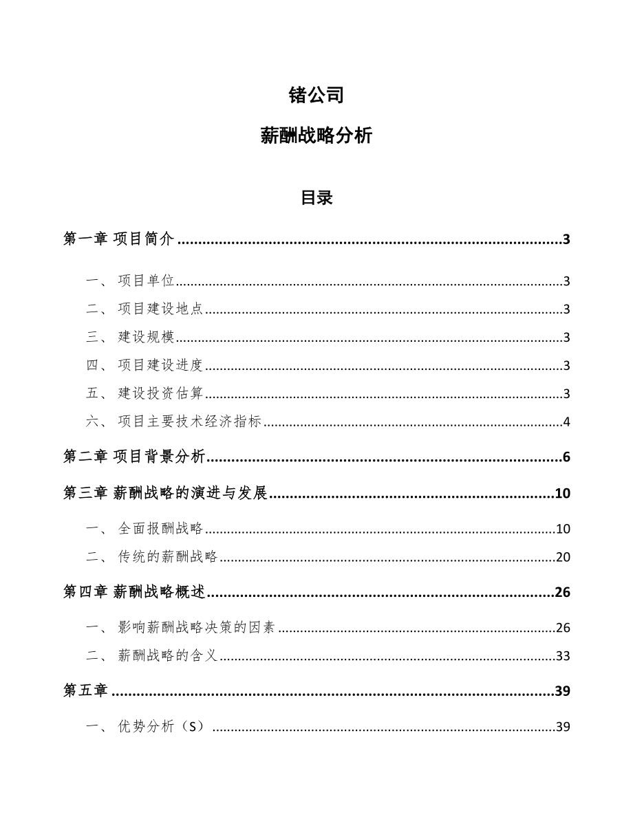 锗公司薪酬战略分析范文_第1页