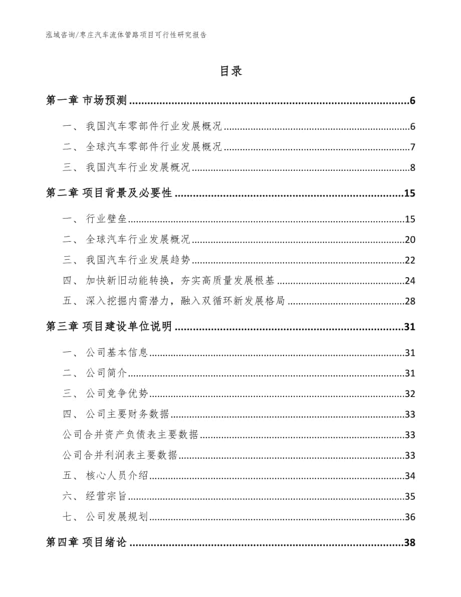 枣庄汽车流体管路项目可行性研究报告模板范本_第1页