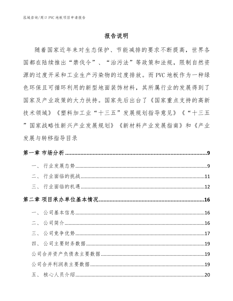 周口PVC地板项目申请报告【范文模板】_第1页