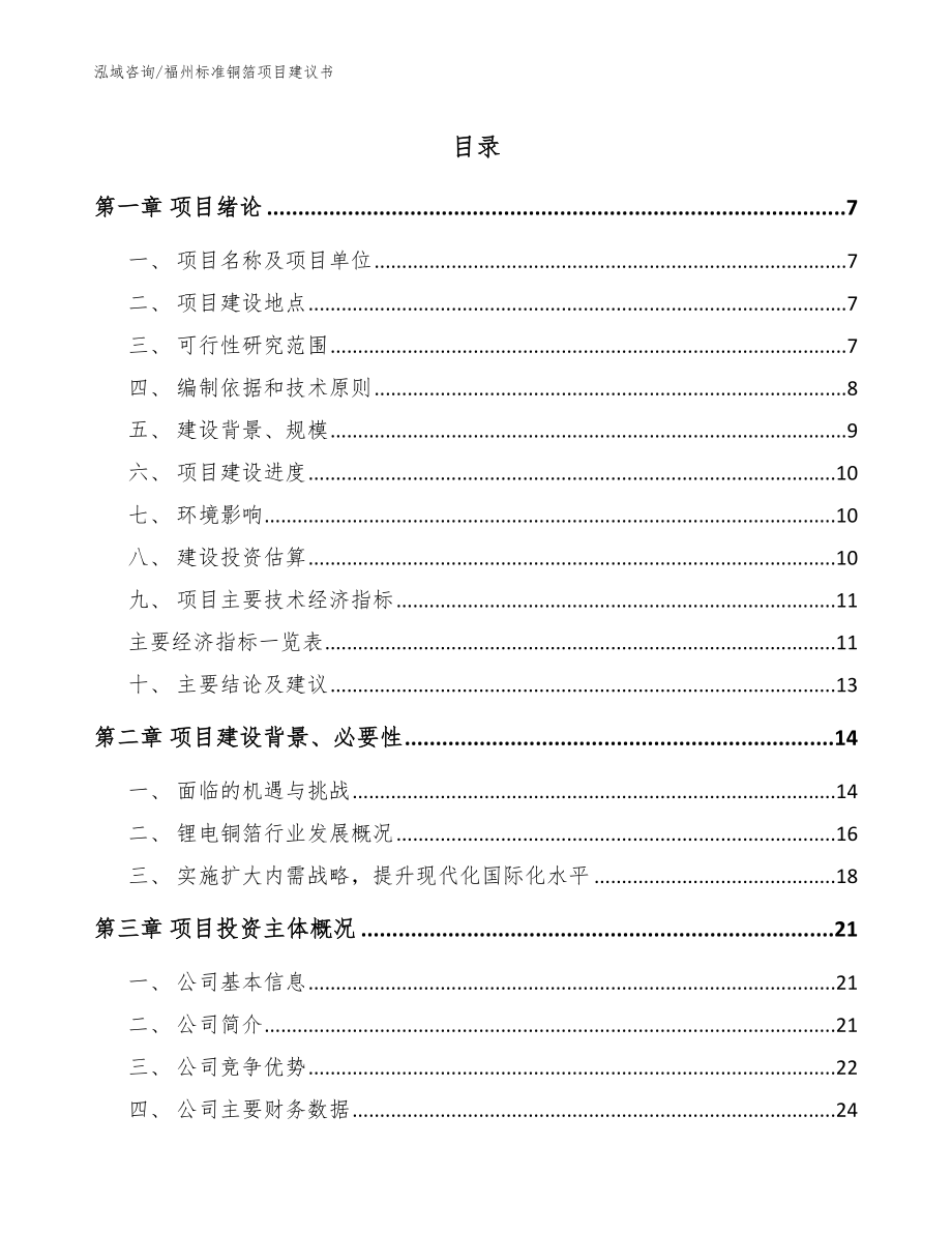 福州标准铜箔项目建议书【模板范文】_第1页