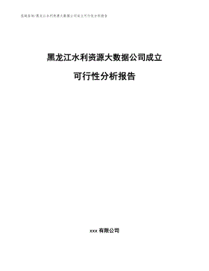 黑龍江水利資源大數(shù)據(jù)公司成立可行性分析報告【模板】