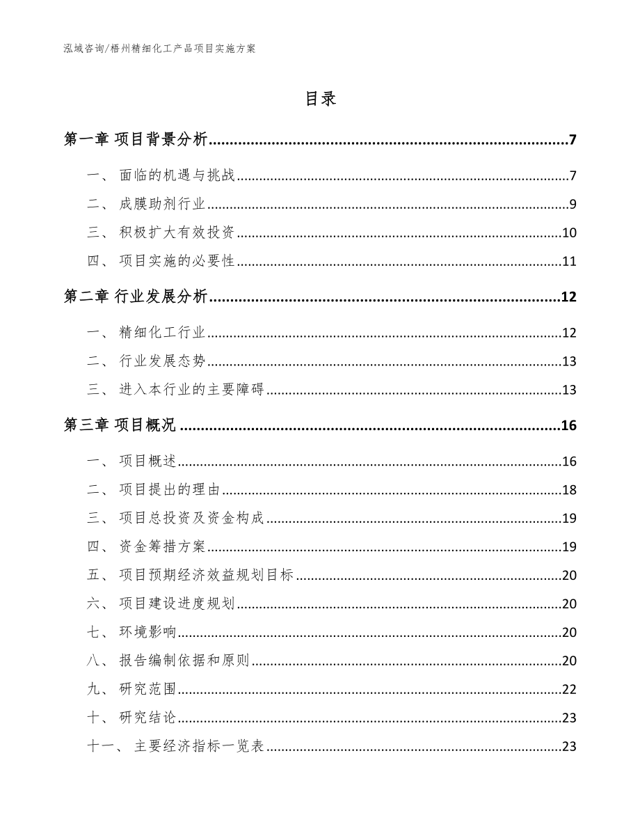 梧州精细化工产品项目实施方案模板参考_第1页