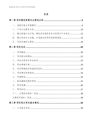杭州干冰项目可行性研究报告（模板范文）