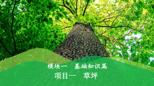 草坪建植與養(yǎng)護 教學PPT課件