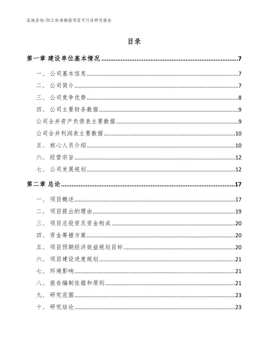 阳江标准铜箔项目可行性研究报告_模板参考_第1页