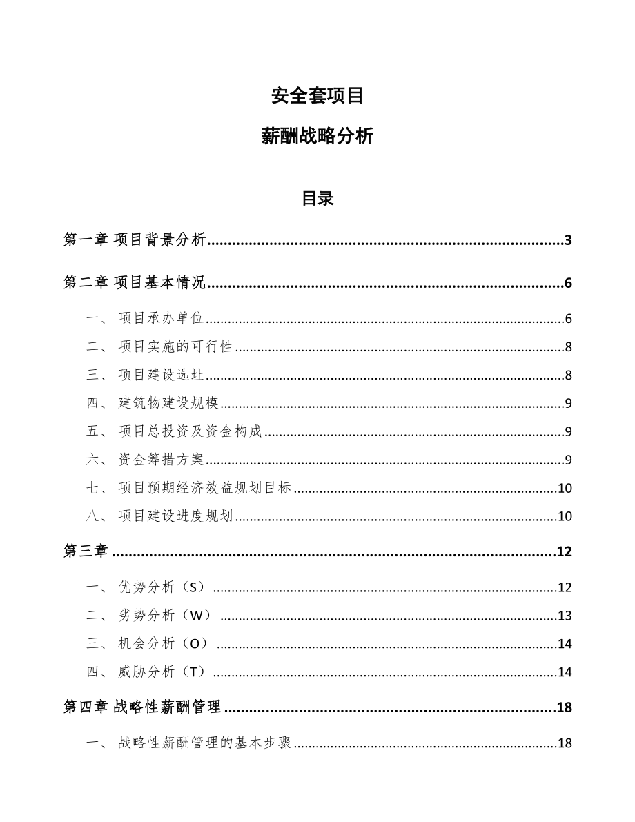 安全套项目薪酬战略分析（范文）_第1页