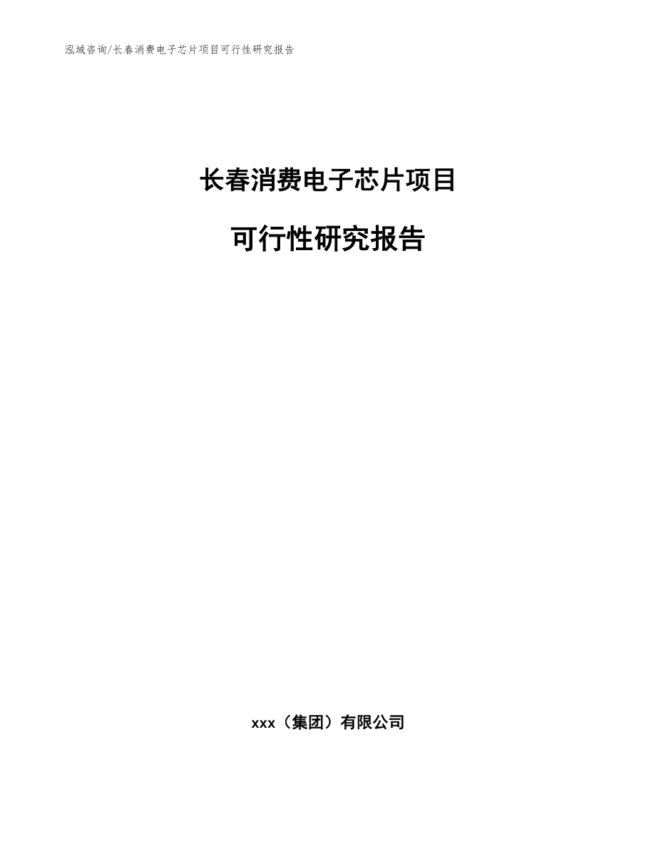 长春消费电子芯片项目可行性研究报告【范文】_第1页