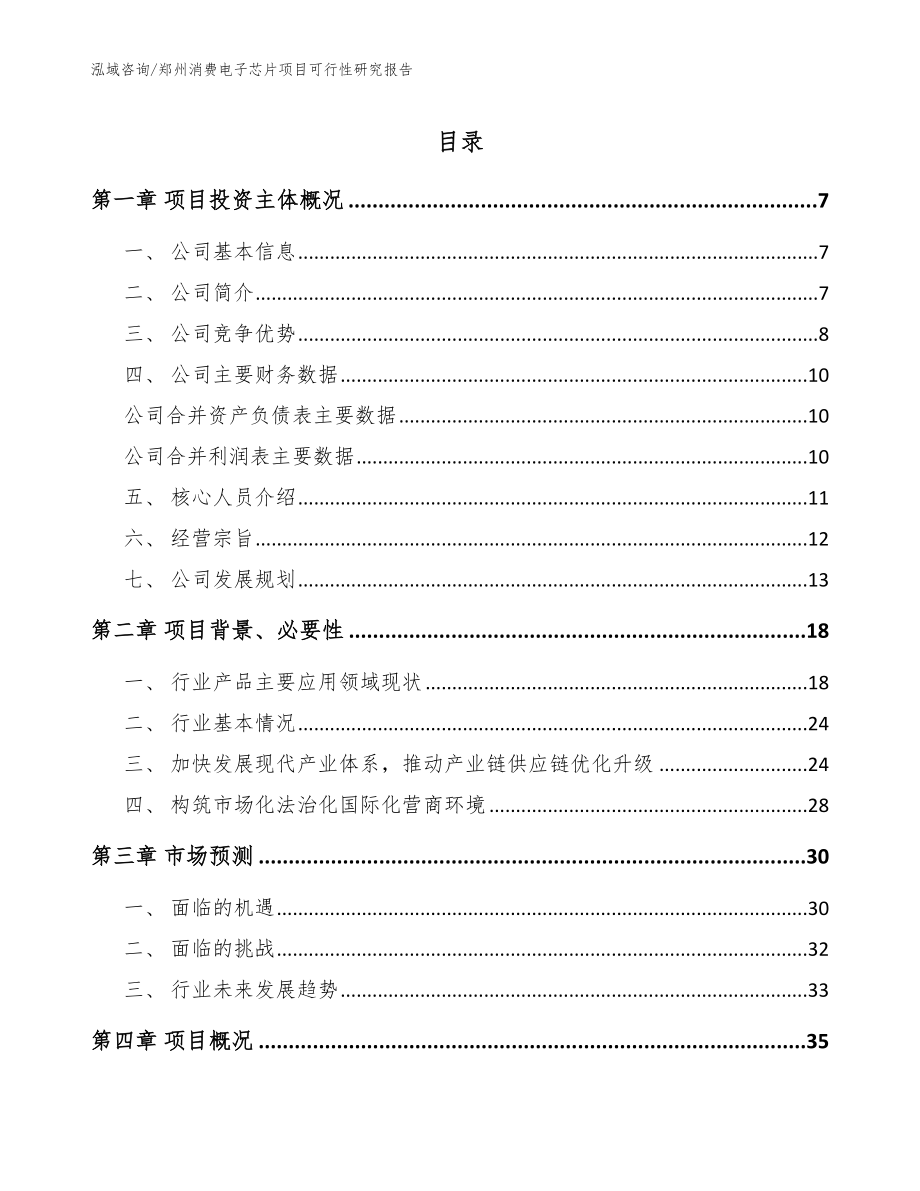 郑州消费电子芯片项目可行性研究报告【范文】_第1页